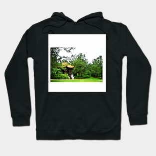 japan pagoda in houston floral zen garden landscape ecopop photo Hoodie